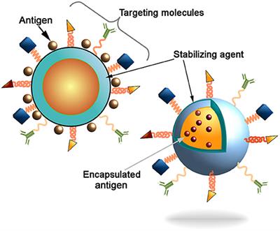 Frontiers | Nanoparticle Vaccines Against Infectious Diseases